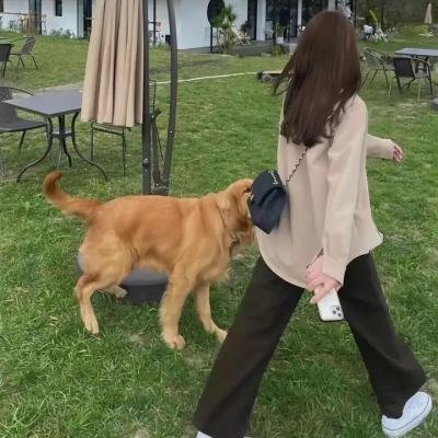 死神少爷与黑女仆 封面